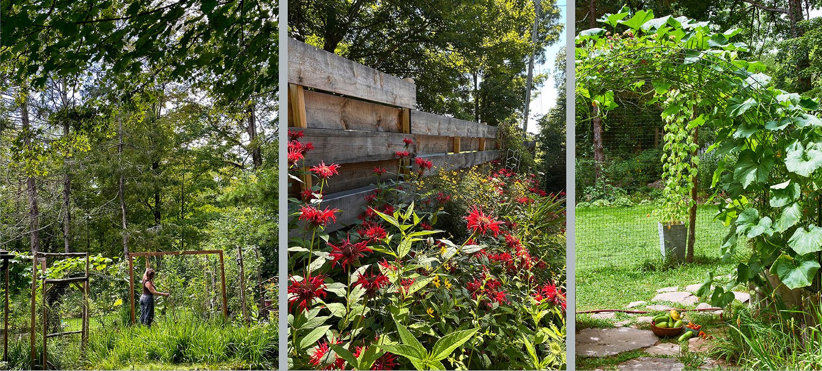 Kitchen garden with wooden arbors and vegetable beds at Catbird Cottage